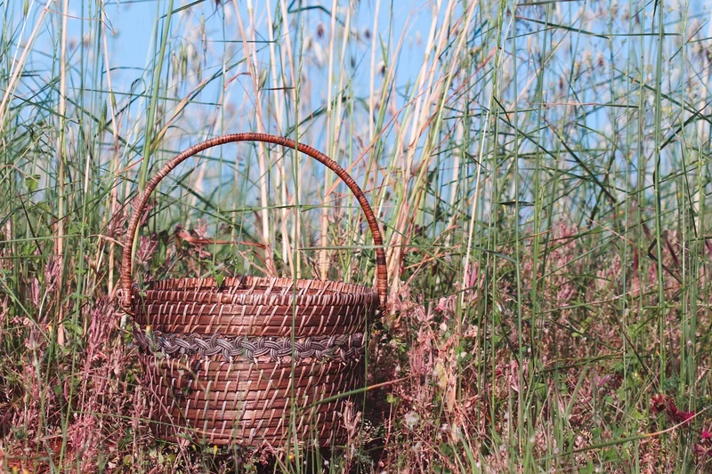 3. Matériaux écologiques : le choix durable qui monte