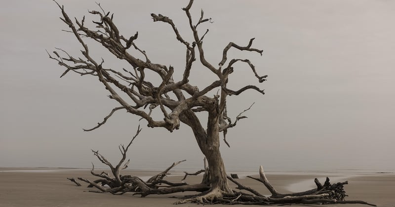 Fabriquer une tête de lit en bois flotté : astuces pour un aspect naturel